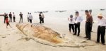 Чудовище из морской бездны выбралось на пляж