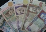 Эксперт дал прогноз курса гривны на 2011 год