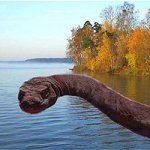 В Великобритании туристы сняли на камеру подводное чудовище Несси