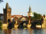 Хищных кошек, слонов и саламандр переселят в новое жилье