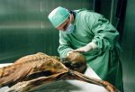  Древняя мумия получила человеческий облик