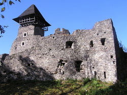 Невицкий замок