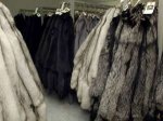 В одном из калифорнийских городов полностью запретили изделия из кожи меха