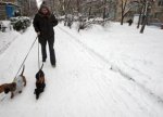 Украинцам пообещали долгую и капризную зиму