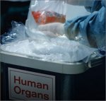 Минздрав планирует принудительно изымать органы у умерших