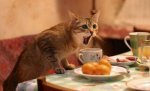 10 "грязных" ресторанных секретов, которые раскрыла опытная официантка