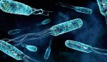 Новое доказательство существования внеземной жизни